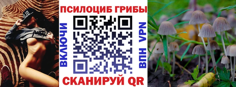 Псилоцибиновые грибы GOLDEN TEACHER  Хилок 