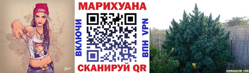 Каннабис THC 21%  где купить   Хилок 